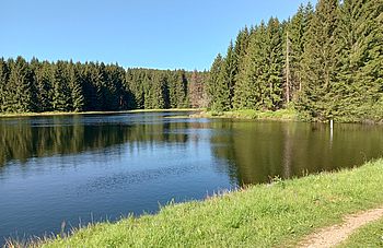 IMG_20240514_095303816_HDR.jpg