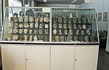 RTEmagicC_Sammlungen_Institut_2011__37.jpg.jpg