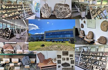 Collage_LNdW_Geologiesammlungen.jpg