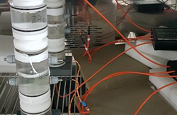 20241216_121328.jpg