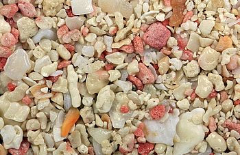 biogenic_sand.jpg