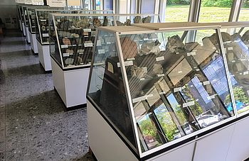 IMG_20250516_110958474_HDR_AE.jpg